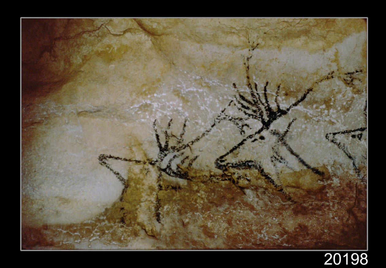 Friso de ciervos, c.17000 a.C. de Prehistoric