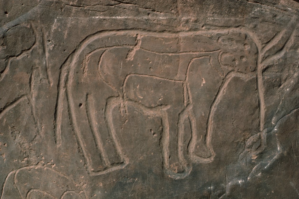 Mamut (grabado en roca) de Prehistoric