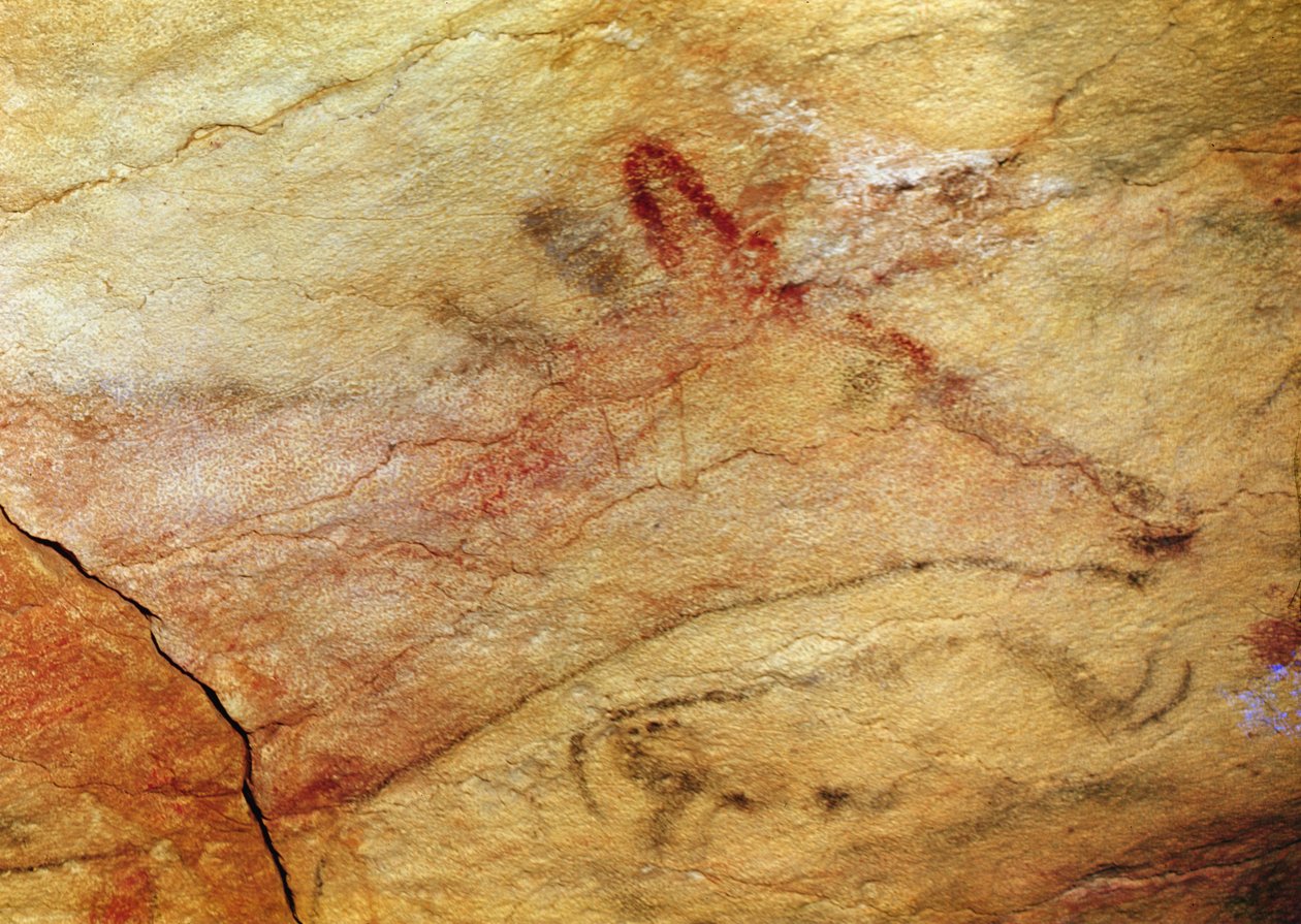 Ciervo de las Cuevas de Altamira, c.15,000 a.C. (detalle) de Prehistoric