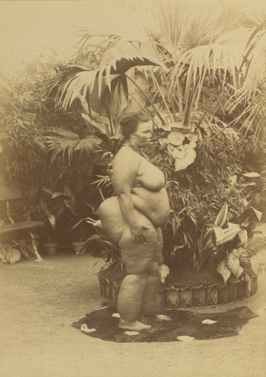 (Mujer Africana) de Napoleon Bonaparte