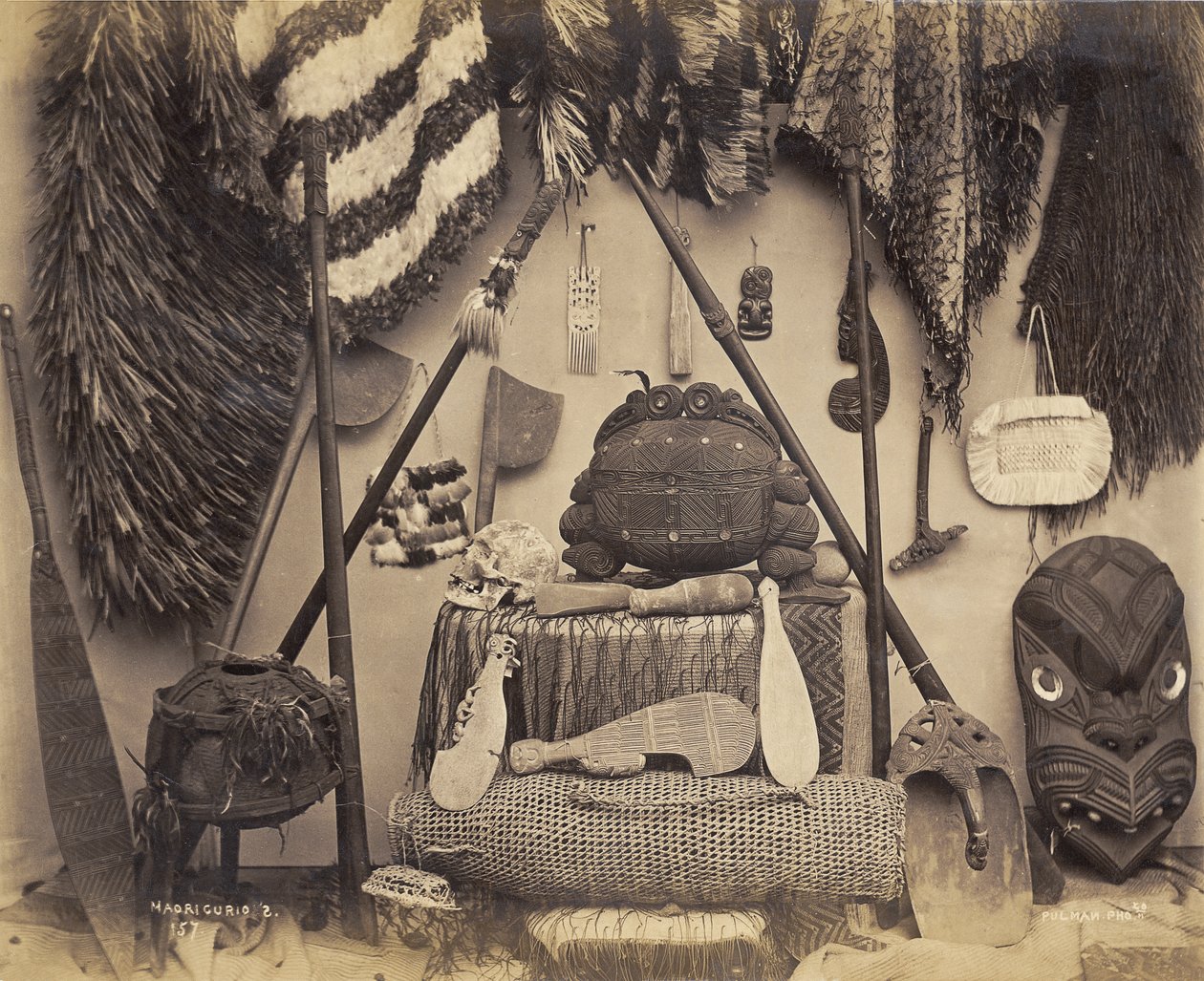 Curiosidades Maoríes, 1870s de Pulman Studio