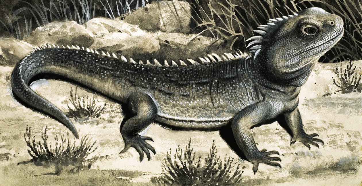 La Tuatura de R.B. Davis