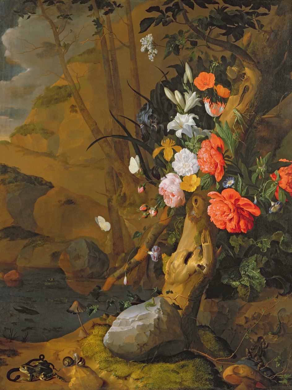 Imagen desconocida de Rachel Ruysch