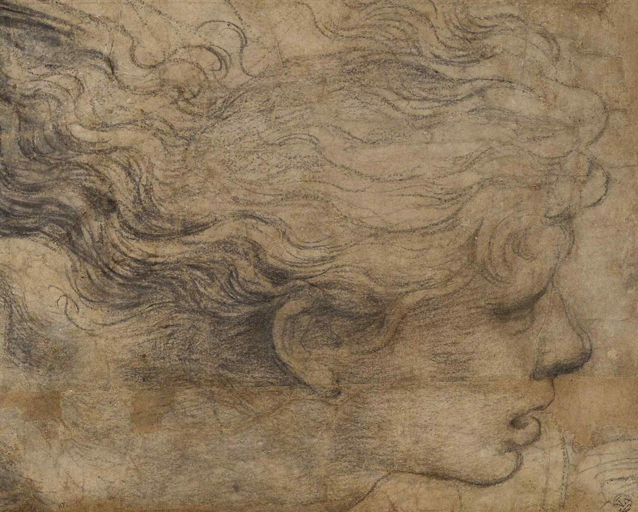 Cabeza de un ángel de Raffaello Sanzio Raphael