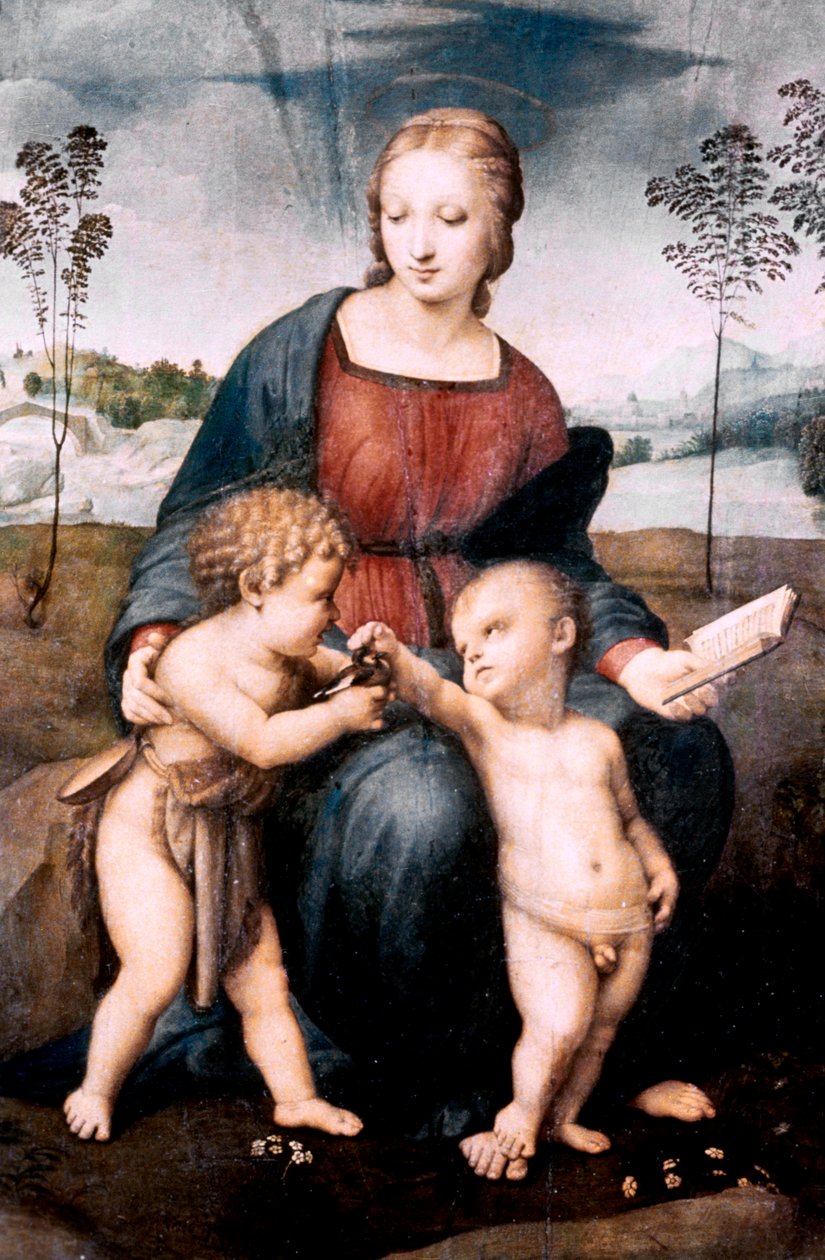 Madonna del Cardellino, 1507 de Raffaello Sanzio Raphael