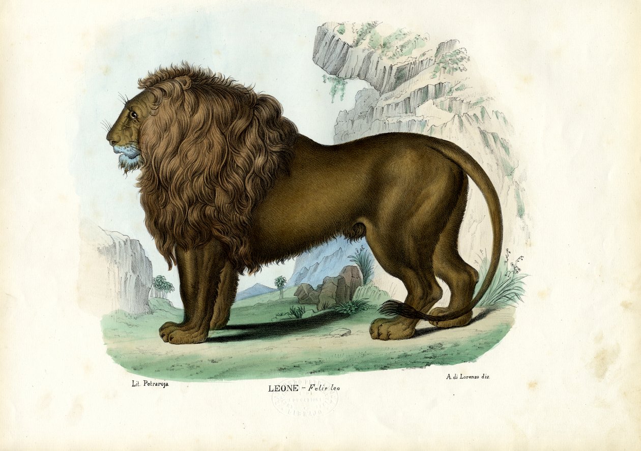 León, 1863-79 de Raimundo Petraroja