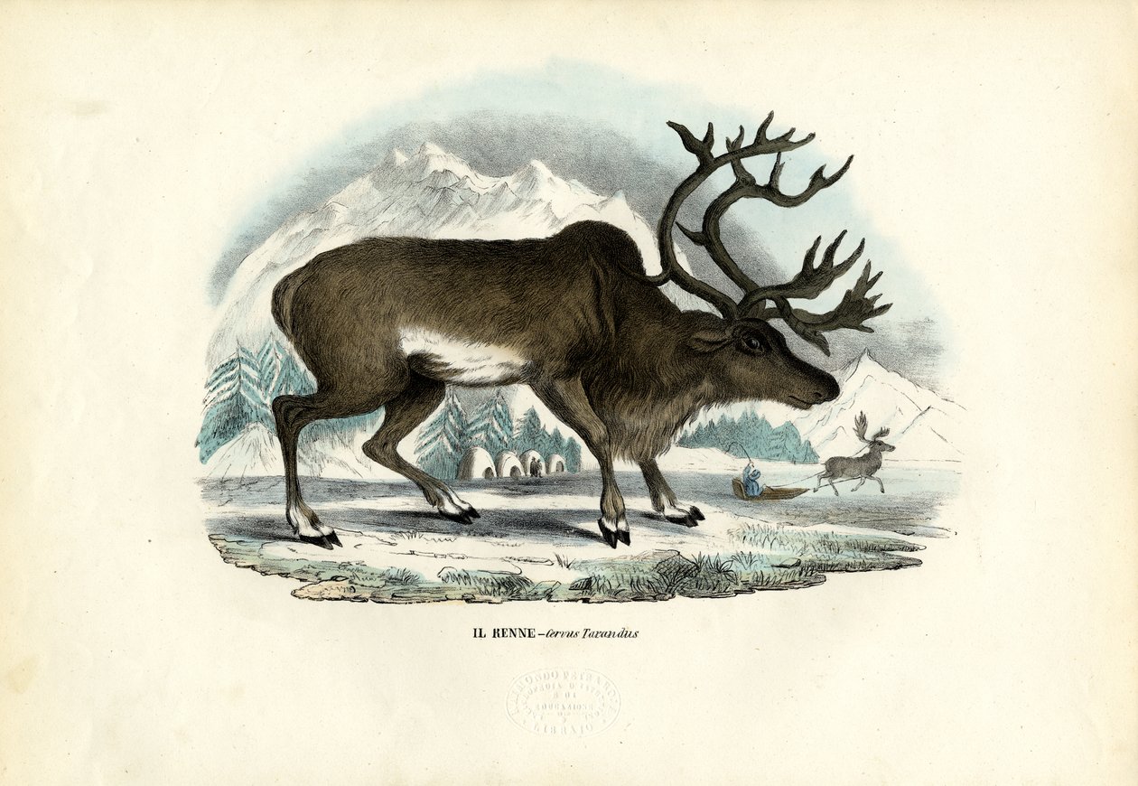 Reno, 1863-79 de Raimundo Petraroja
