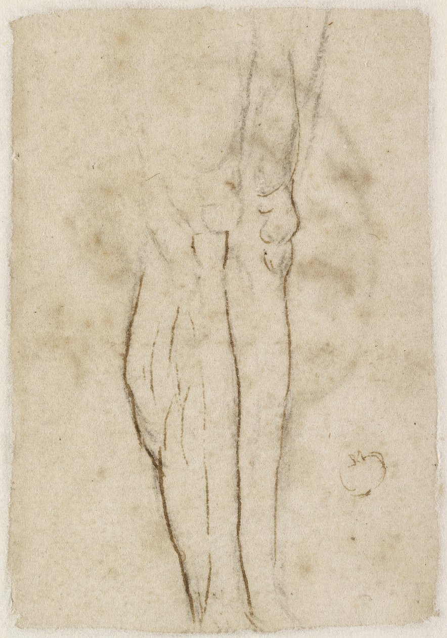 Verso: Boceto de un par de piernas, WA1846.156 de Raffaello Sanzio Raphael