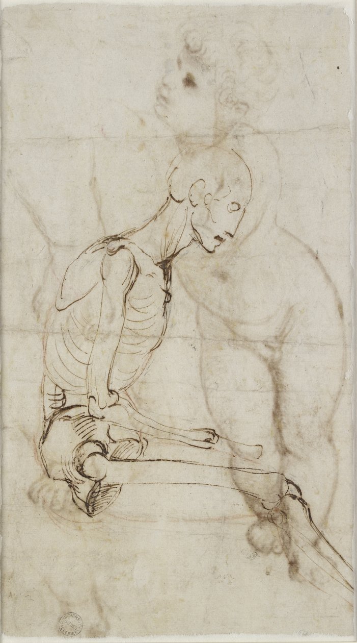 Verso: Estudio de un esqueleto, WA1855.91 de Raffaello Sanzio Raphael