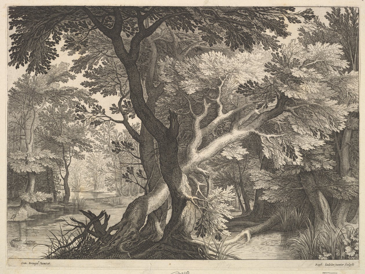 Paisaje boscoso de Raphael Sadeler