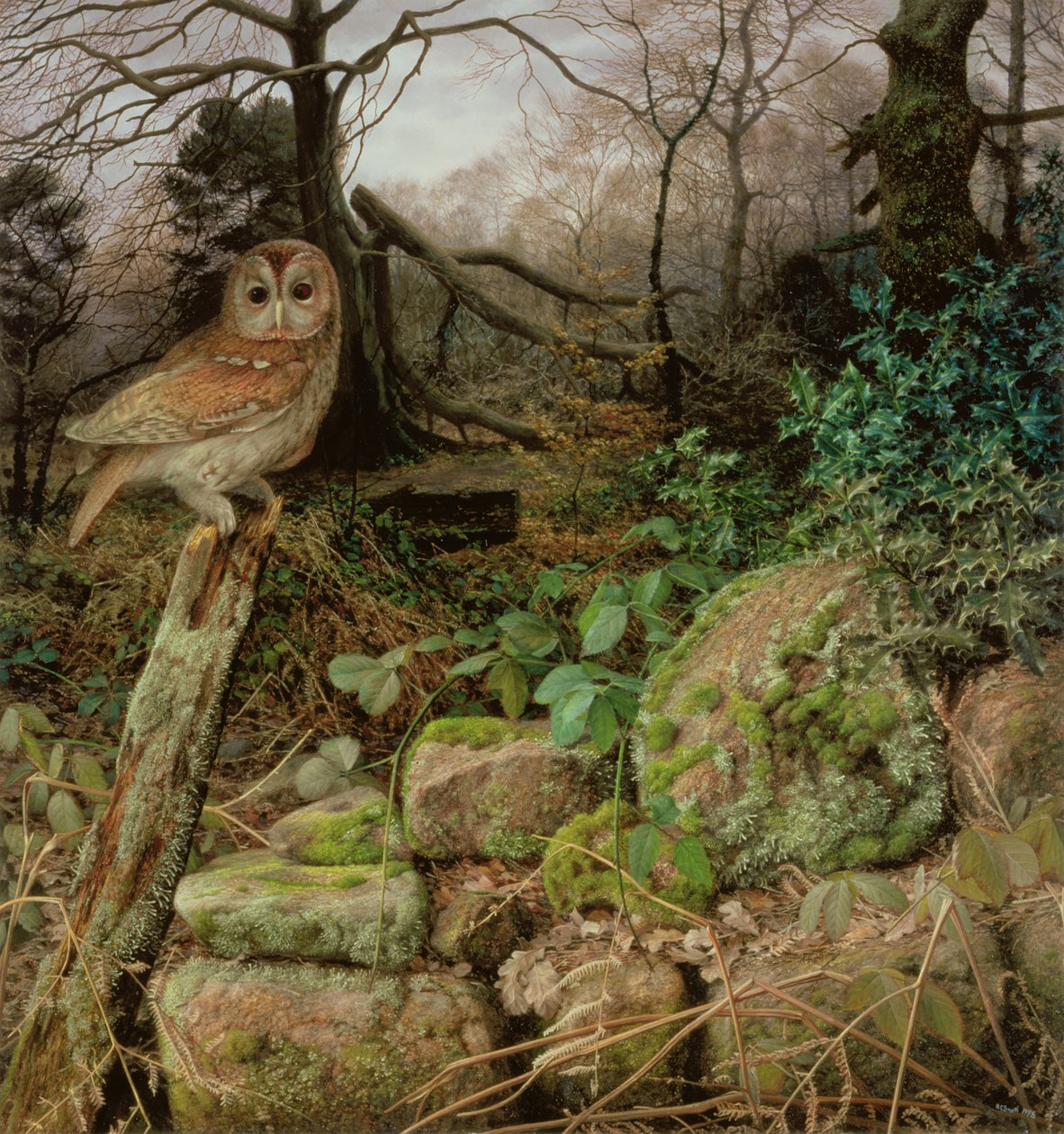 El bosque salvaje - Una tarde de invierno de Raymond Booth