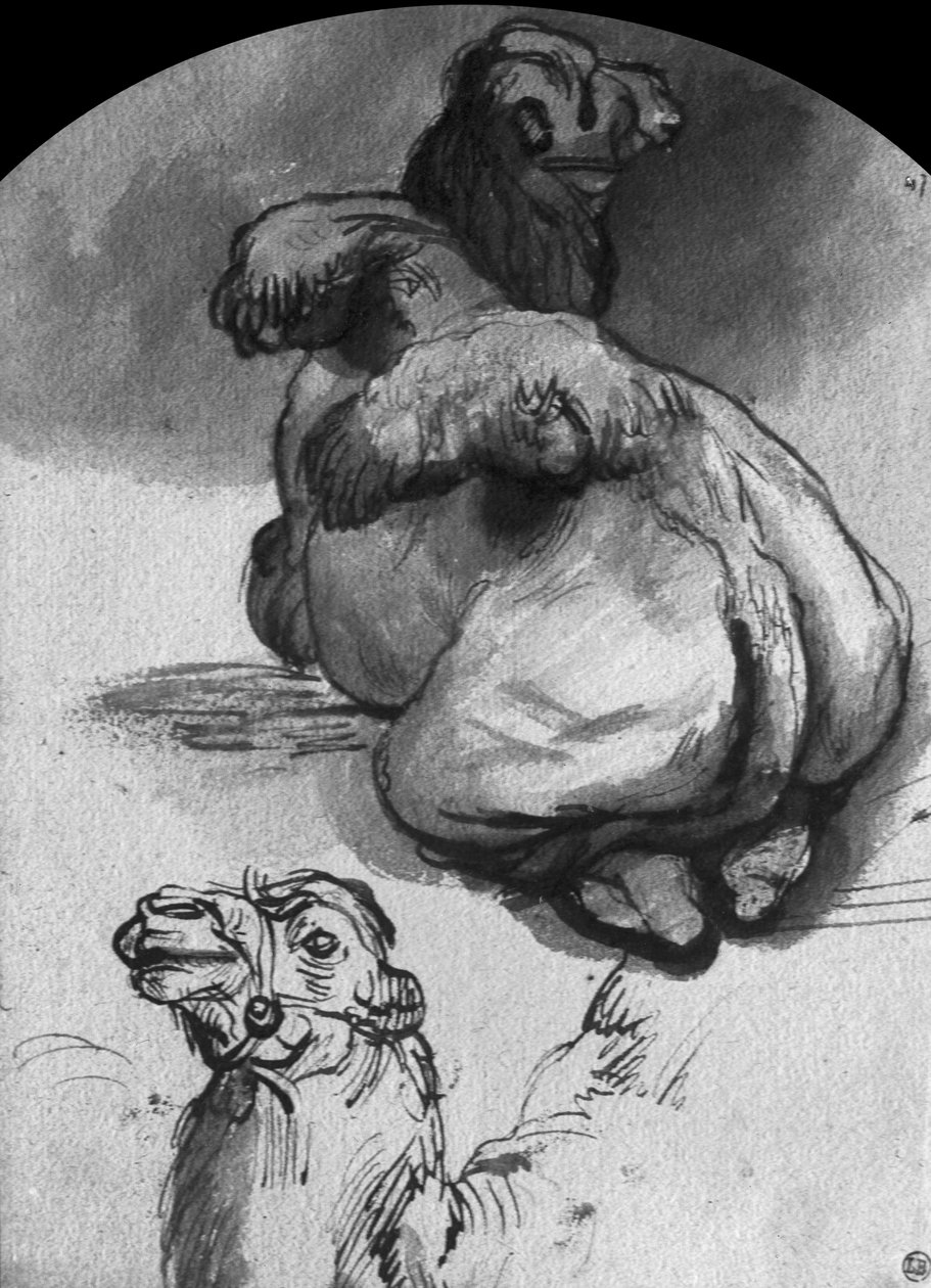 Camellos de Rembrandt van Rijn