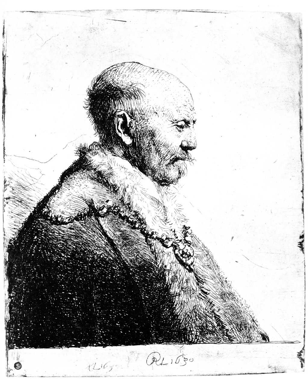 Retrato de un hombre calvo, 1630 de Rembrandt van Rijn