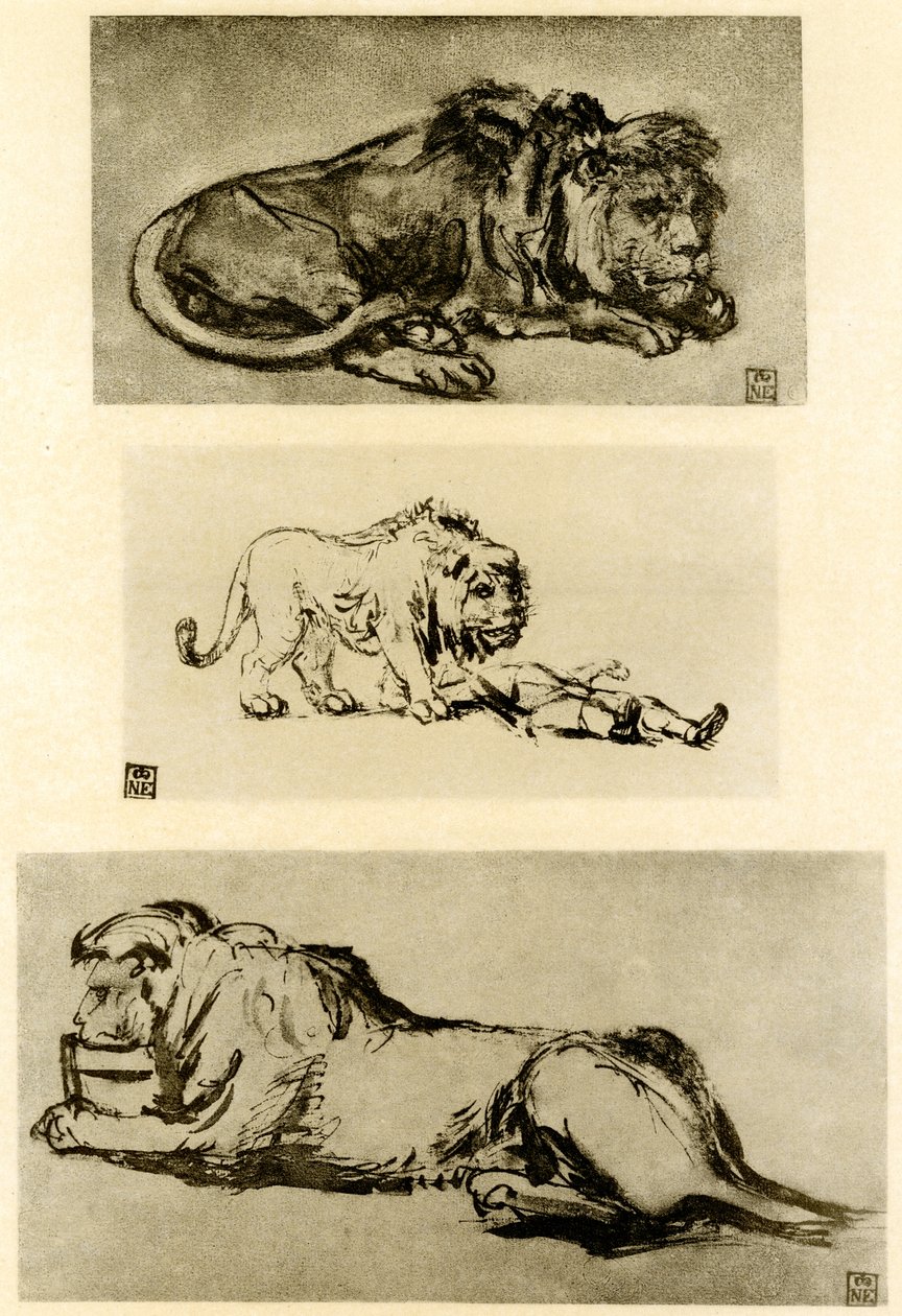 Tres estudios de leones de Rembrandt van Rijn