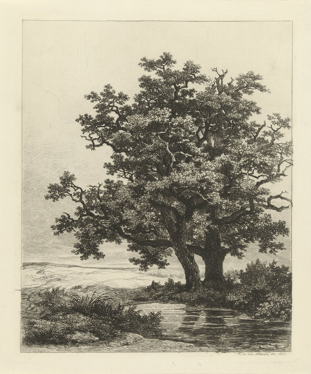 Dos robles en un lago de Remigius Adrianus Haanen