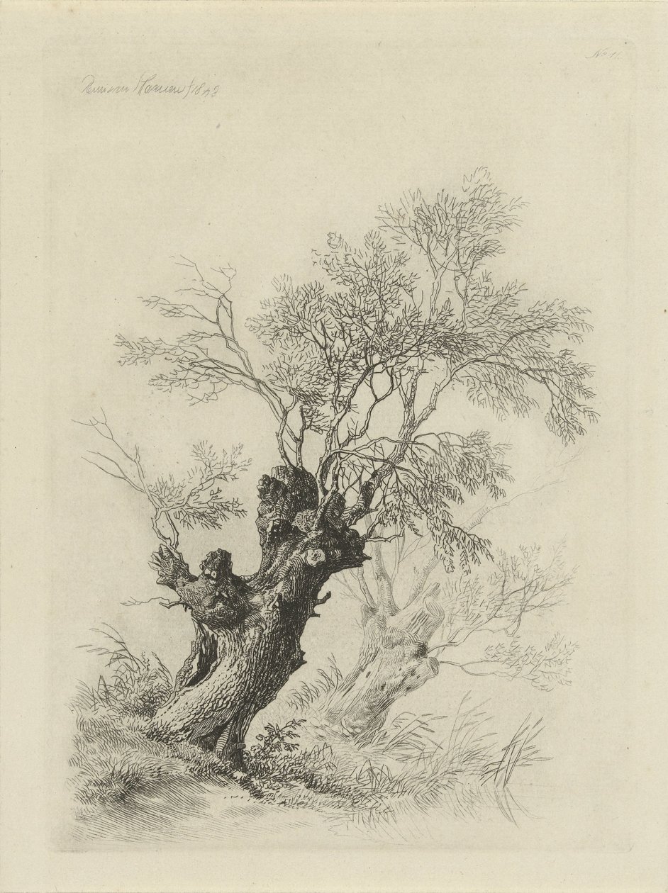 sauce de Remigius Adrianus Haanen