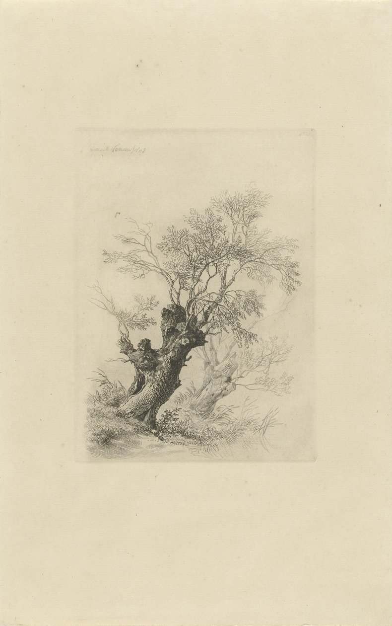 sauce de Remigius Adrianus Haanen