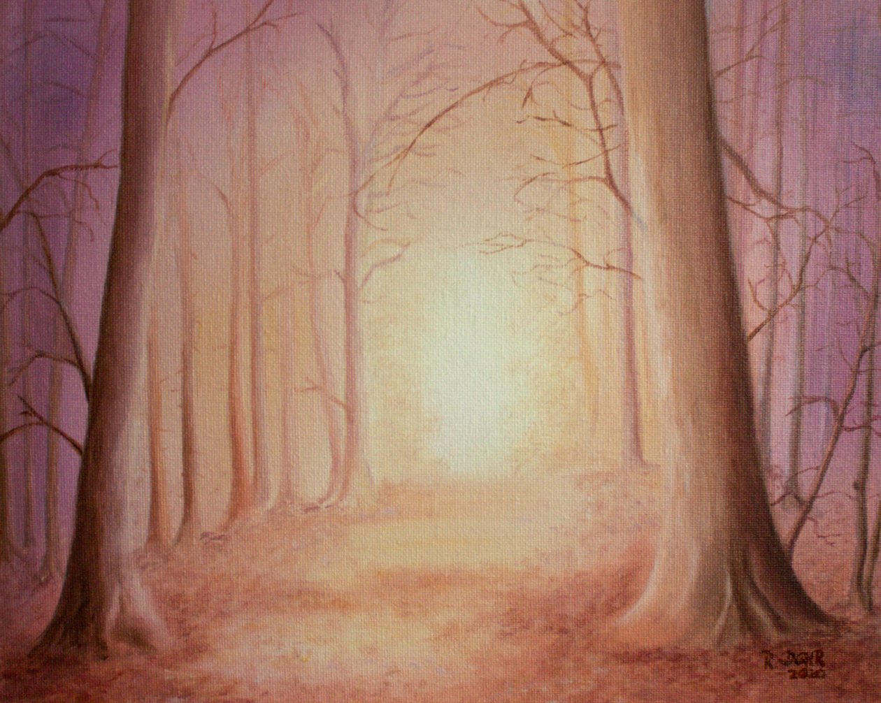 Camino a la Luz de Renate Dohr
