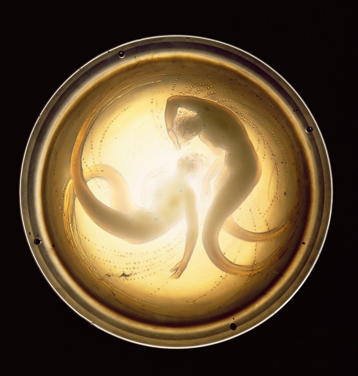 Deux Sirenes Plafonnier de Rene Jules Lalique