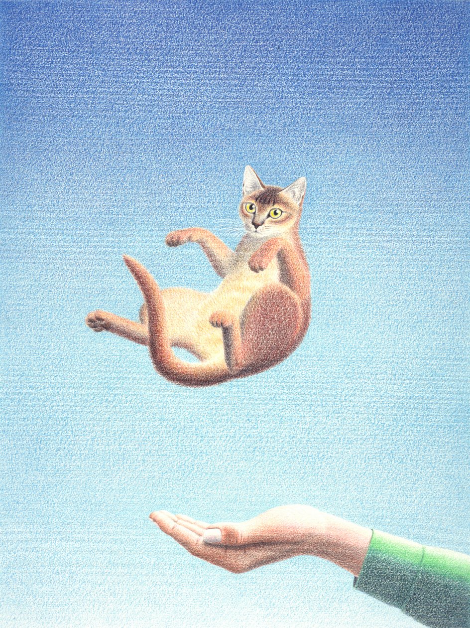 Captura de Rene Boin