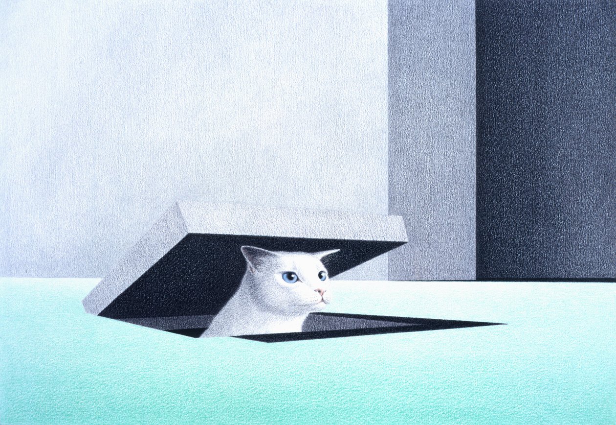 Escotilla de Rene Boin