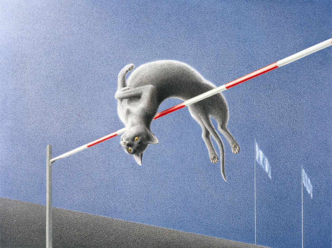 Saltar de Rene Boin