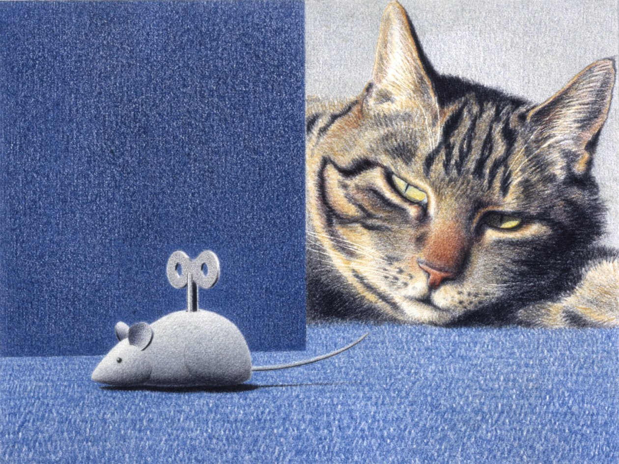 Ratón de Rene Boin
