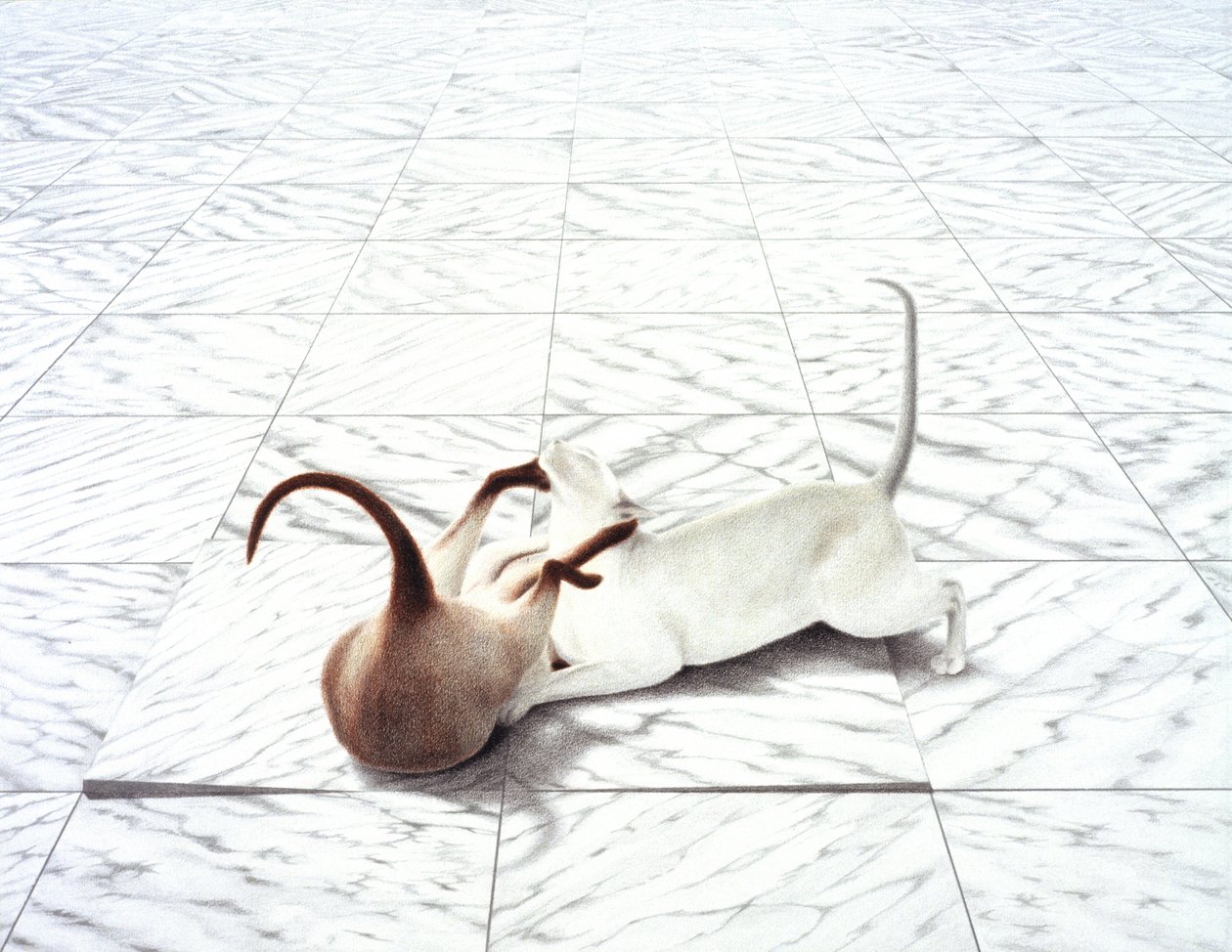Jugando a de Rene Boin