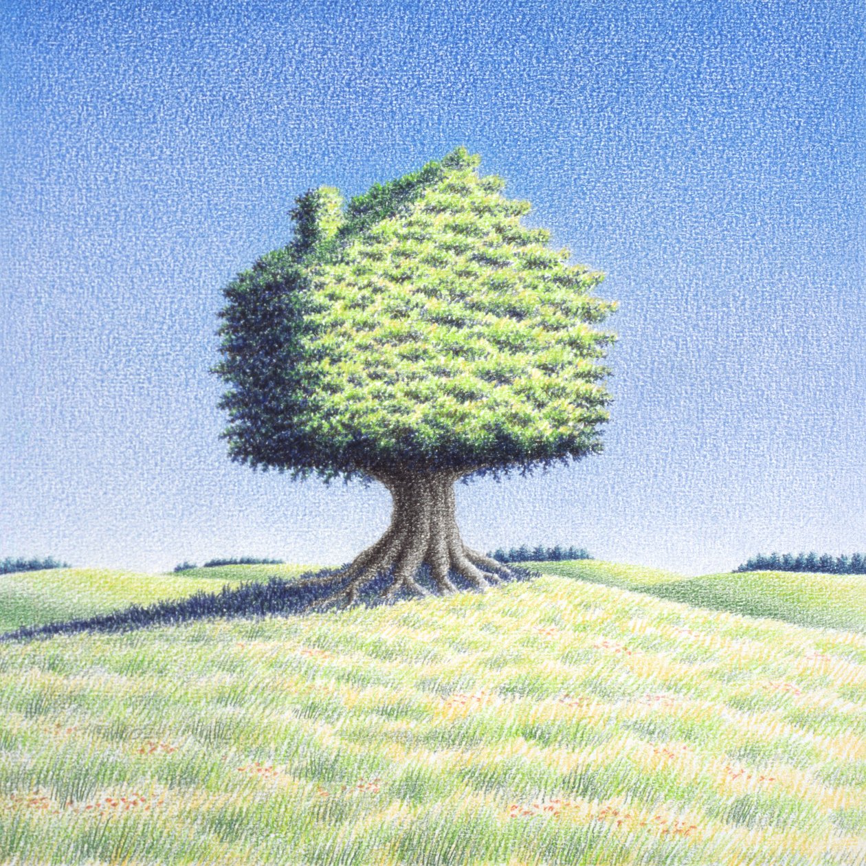 Casa del árbol de Rene Boin
