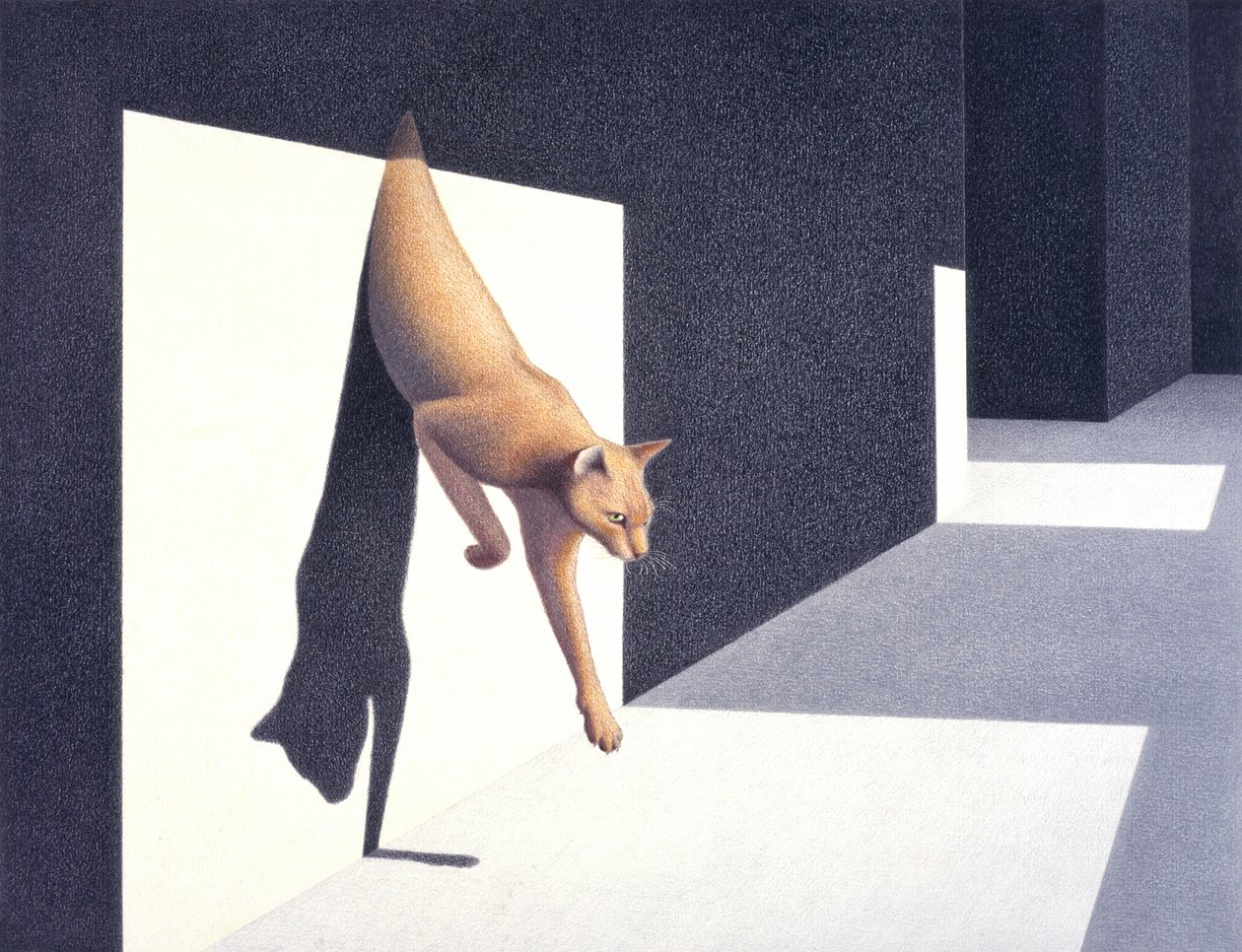 Pared de Rene Boin
