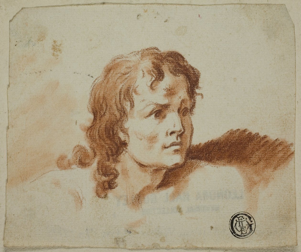 Busto de un joven de Rev. Matthew William Peters