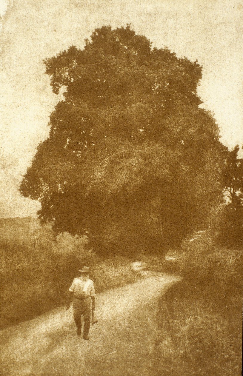 Surrey de John Pardon