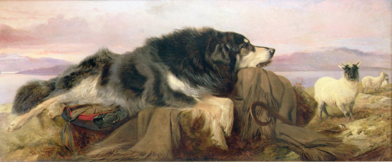 El Perro del Pastor de Richard Ansdell