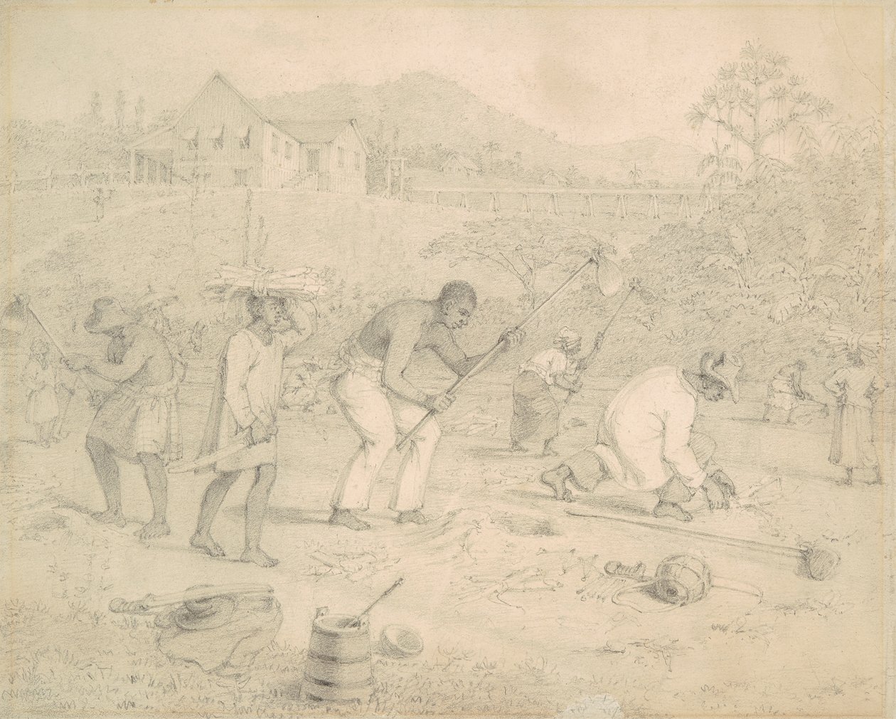 Plantación de la caña de azúcar (Trinidad) de Richard Bridgens