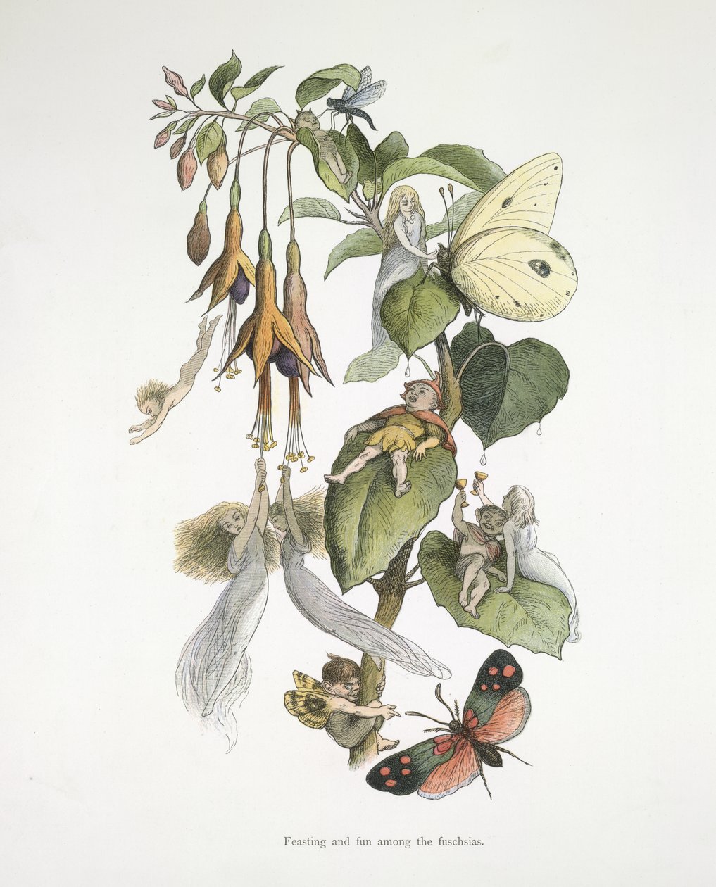 Fiesta y diversión entre las fucsias de Richard Doyle