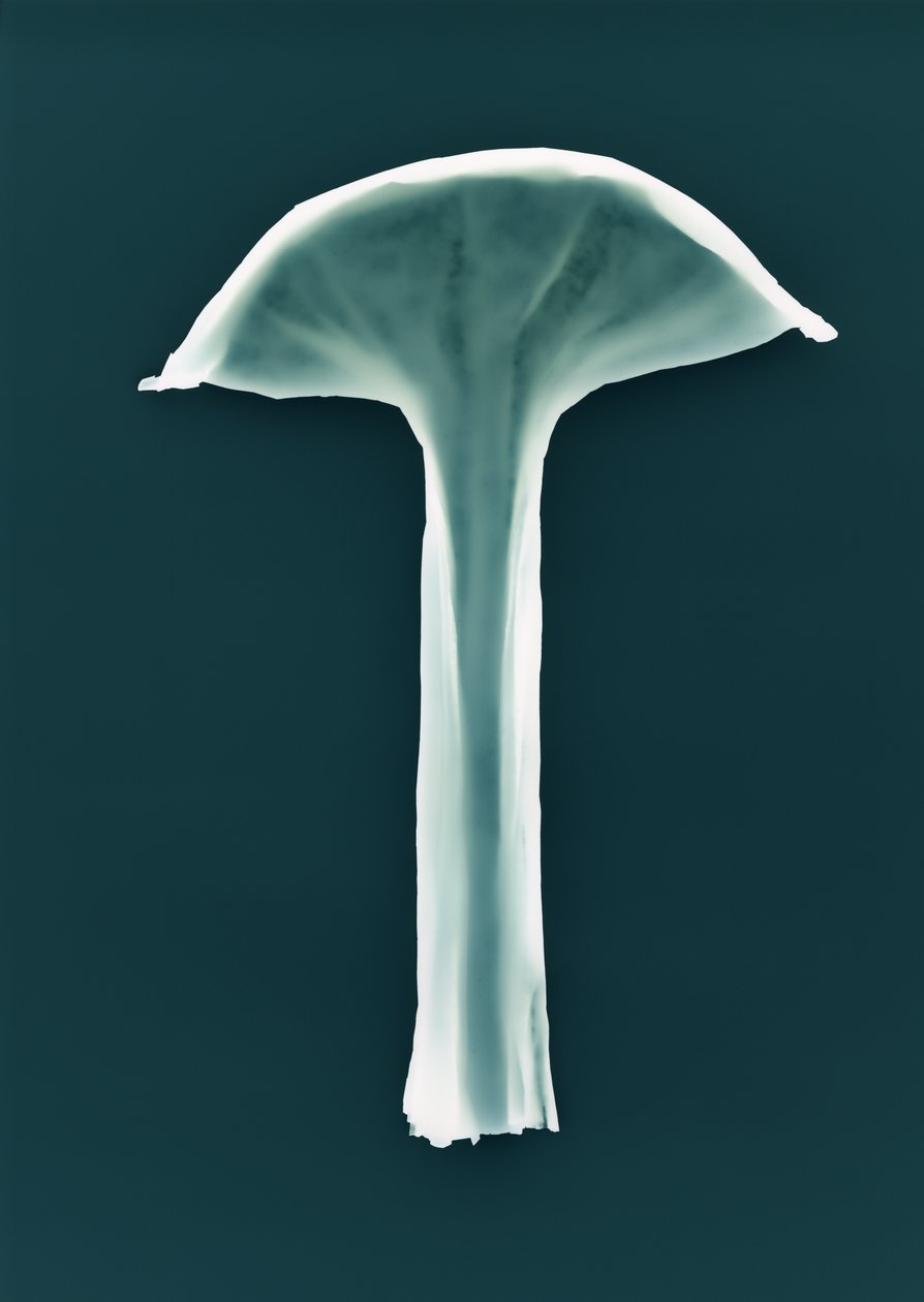 Sin título, 2003 de Richard Green