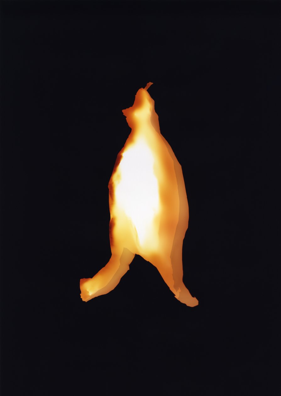 Sin título, 2004 de Richard Green