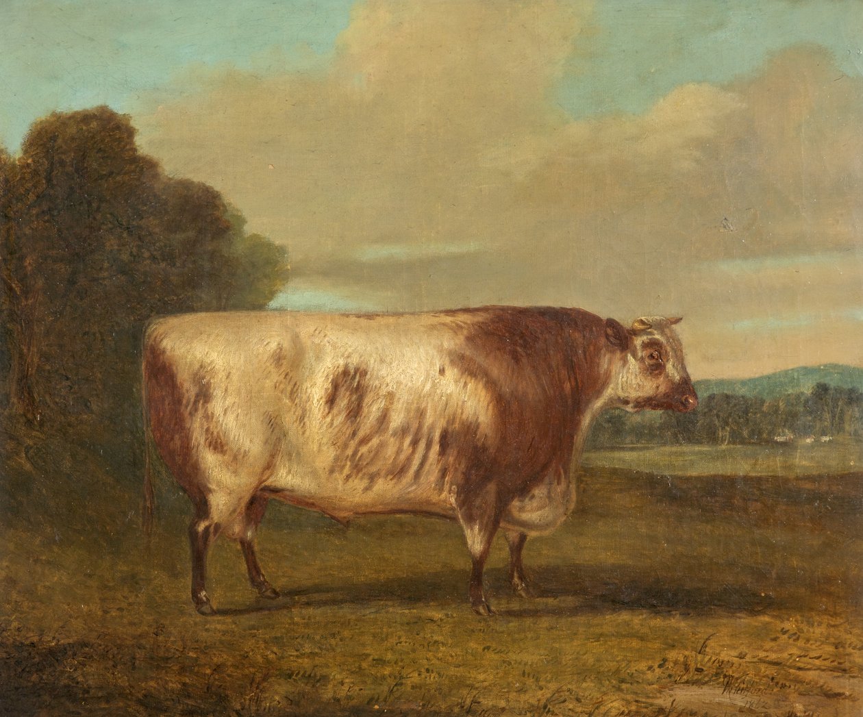 Un toro, 1862 de Richard Whitford