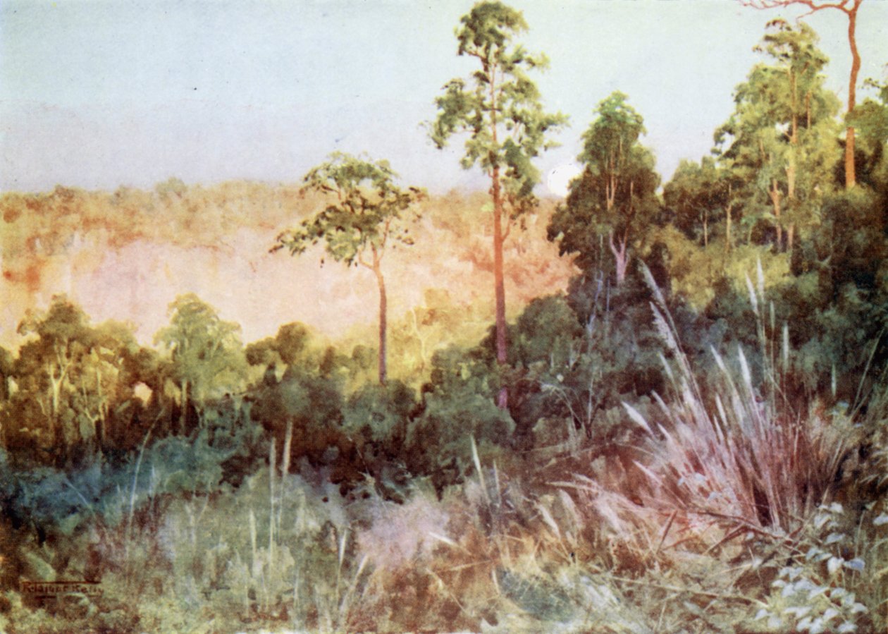 Selva en la línea de Lashio de Robert George Talbot Kelly