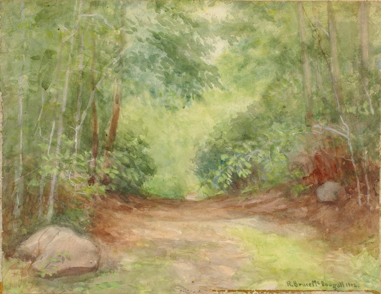 Sin título (Escena del bosque) de Robert Bruce McDougall