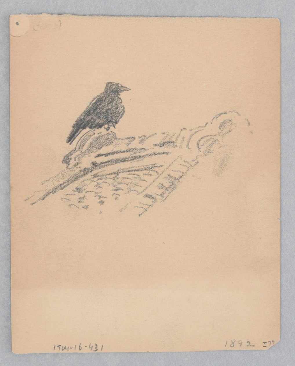 Pájaro de Robert Frederick Blum