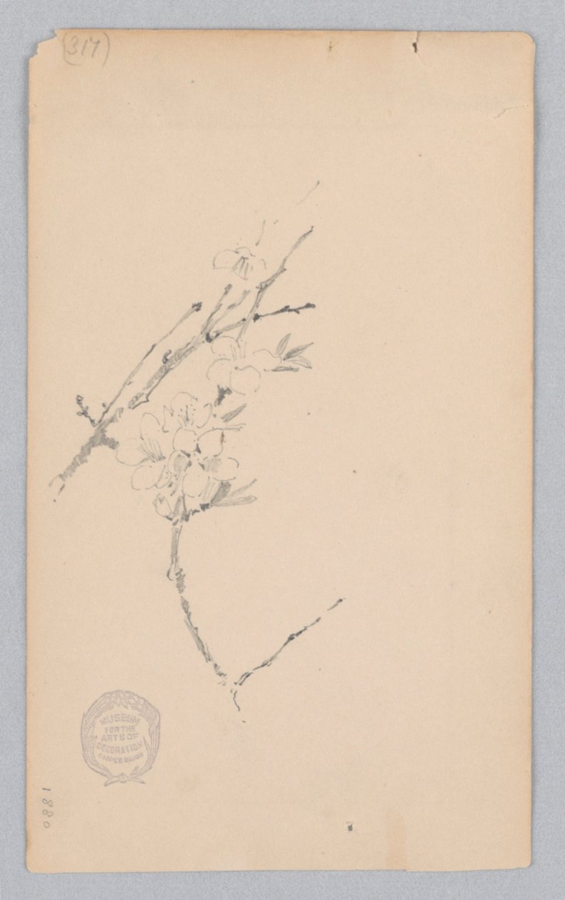 Rama de Robert Frederick Blum