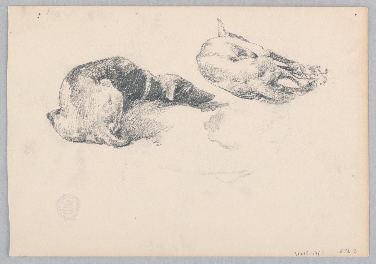 Perros de Robert Frederick Blum