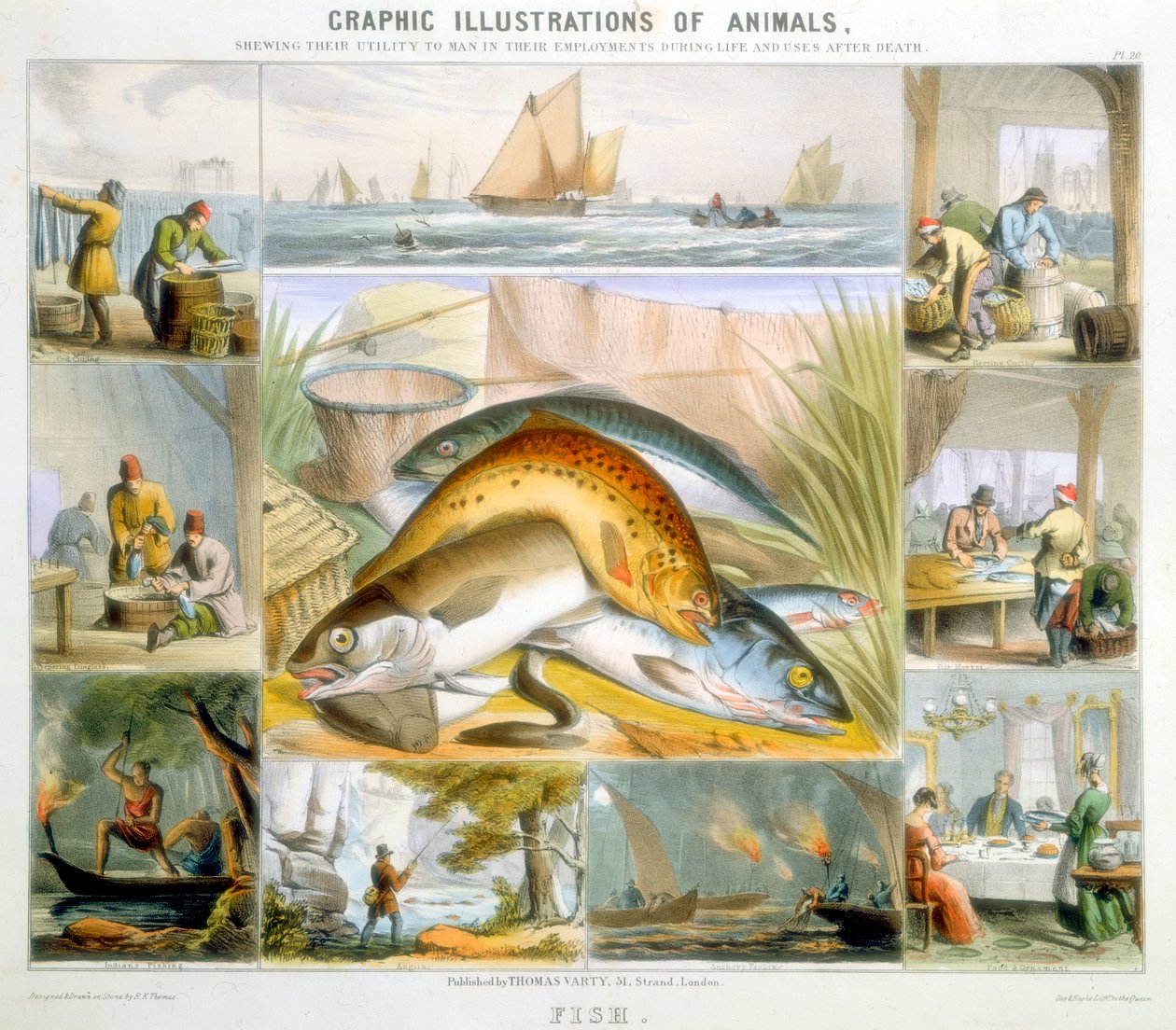 Pez, c1850 de Robert Kent Thomas