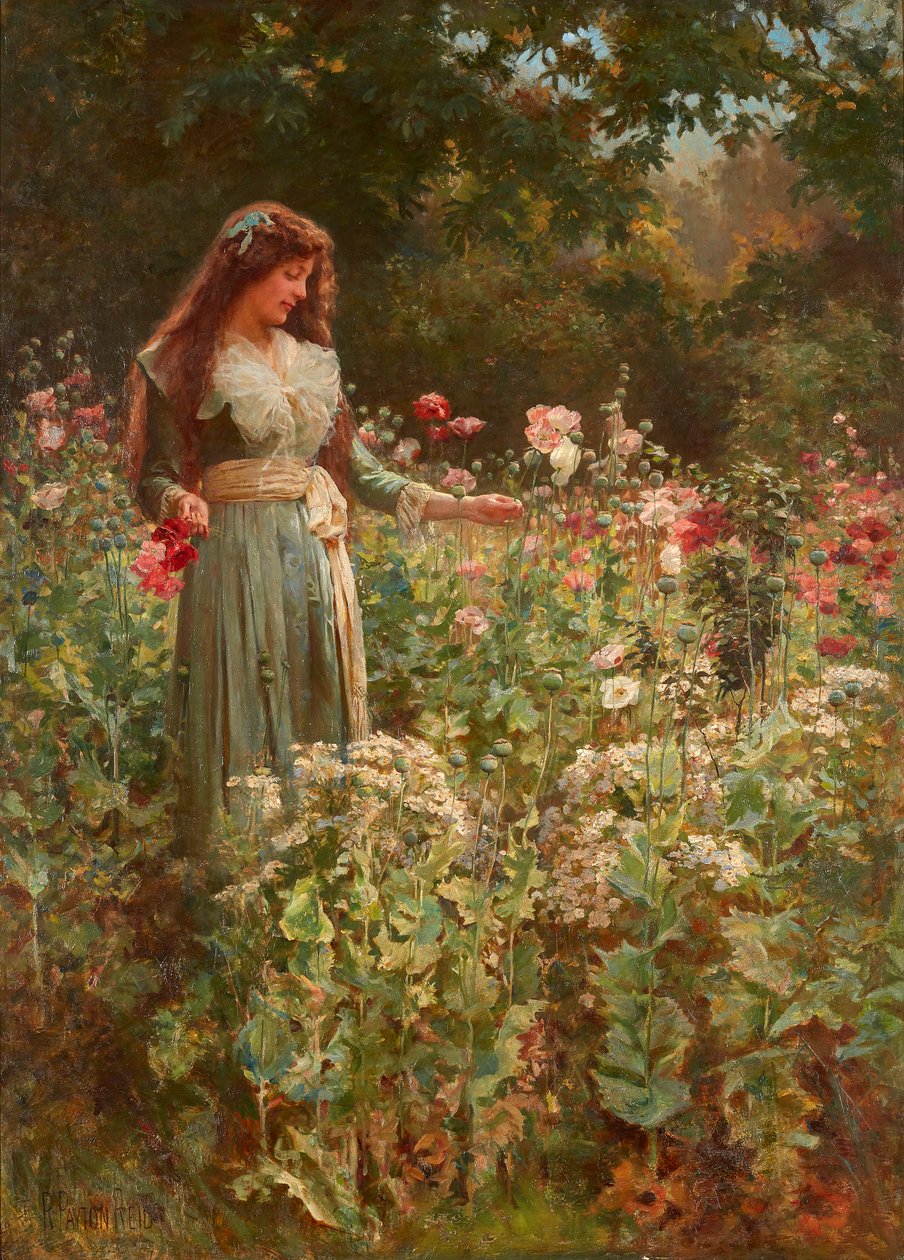Recolectando amapolas de Robert Payton Reid