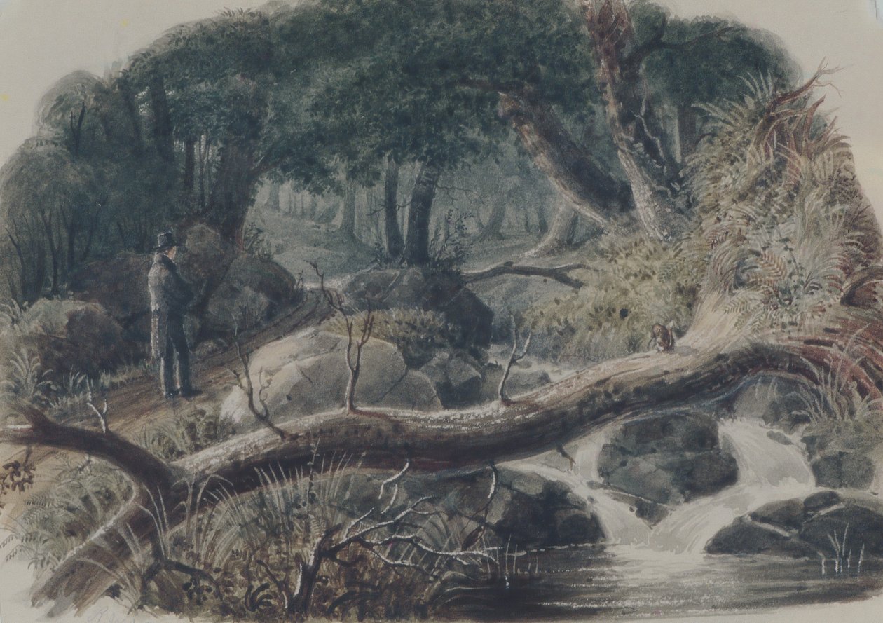 La entrada a un bosque, 1836 de Robert Walter Weir