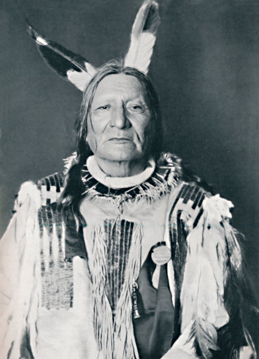 Un jefe sioux, 1912 de Robert Wilson Shufeldt