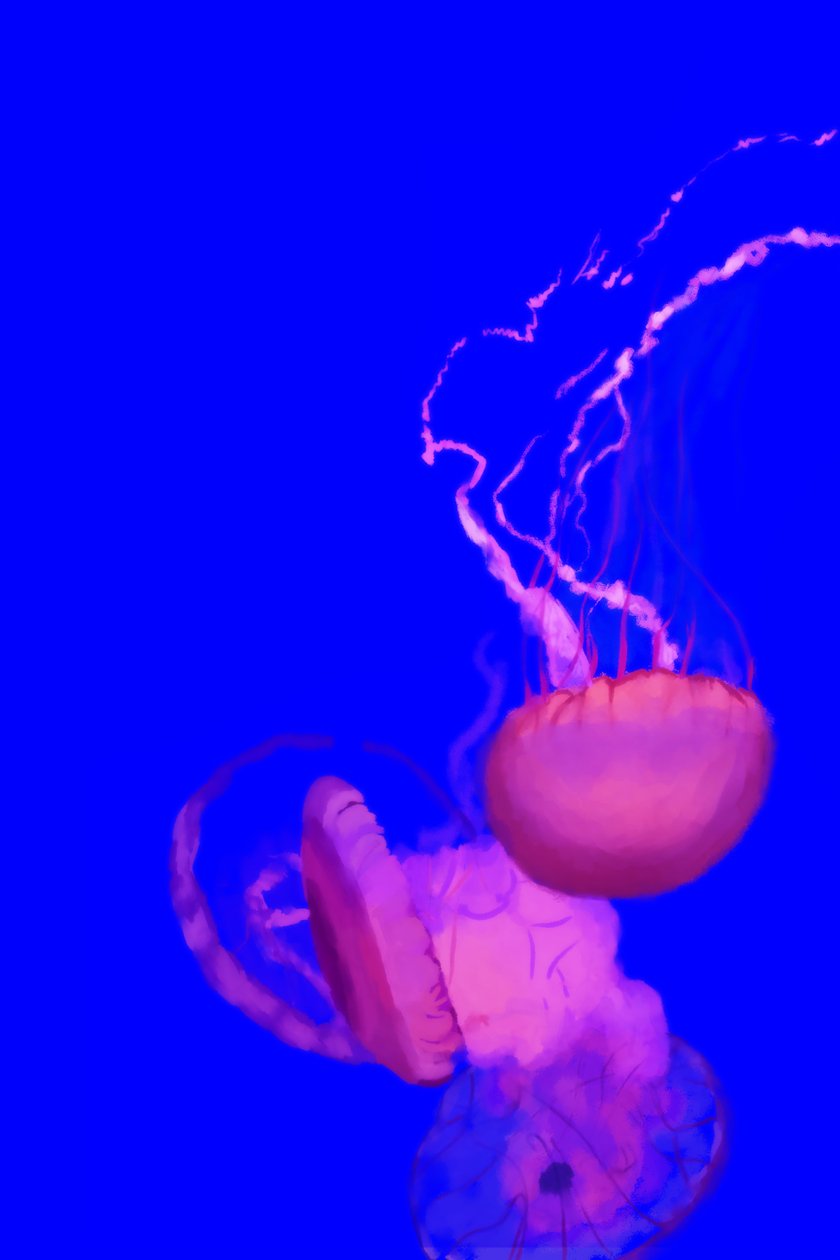Medusa, 2022 (digital) de Roberta Murray