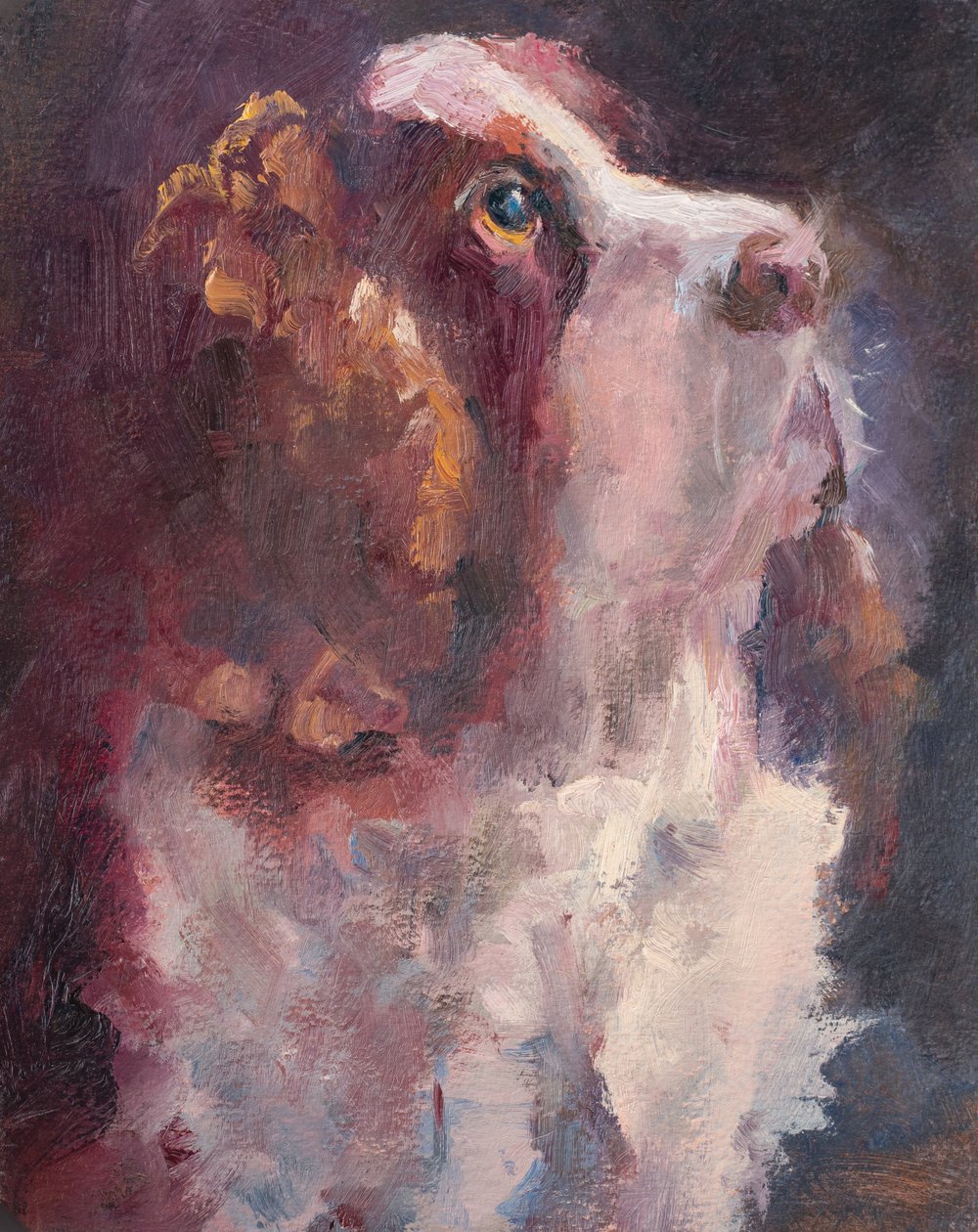 Romeo, 2015 (óleo sobre panel) de Roberta Murray