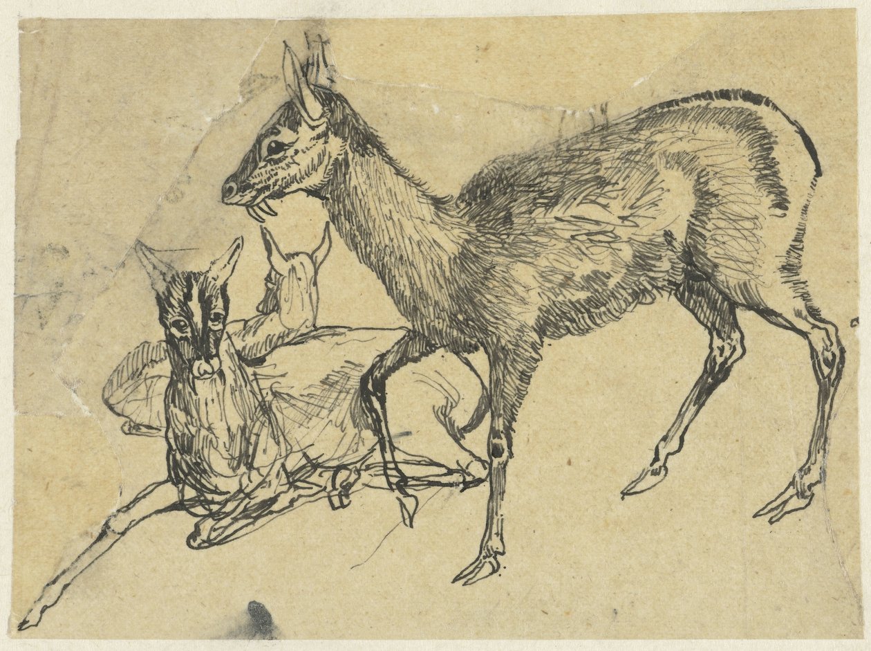 Tres ciervos de Rodolphe Bresdin